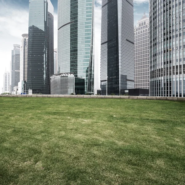 The lawn in the city