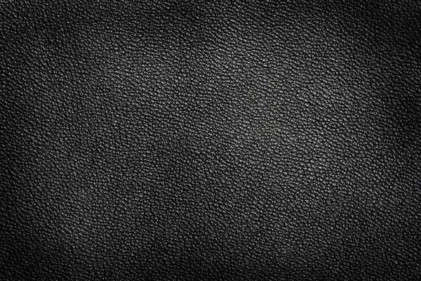 Detail of Leather Grain Texture