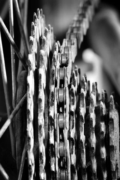 Bike Chain and Gear Cogs Links