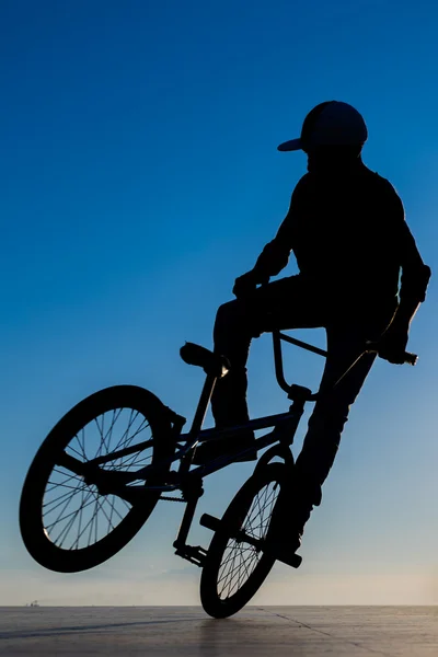 Stunt bicycle young man  silhouette