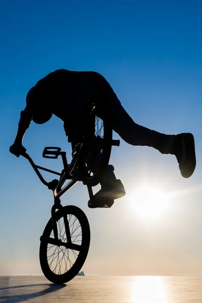 Stunt bicycle young man  silhouette