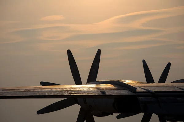 Plane propeller silhouette