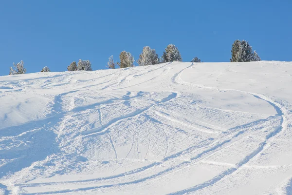 Fresh ski tracks in powder snow