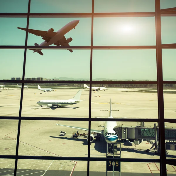 Airport windows and airplane at sunset