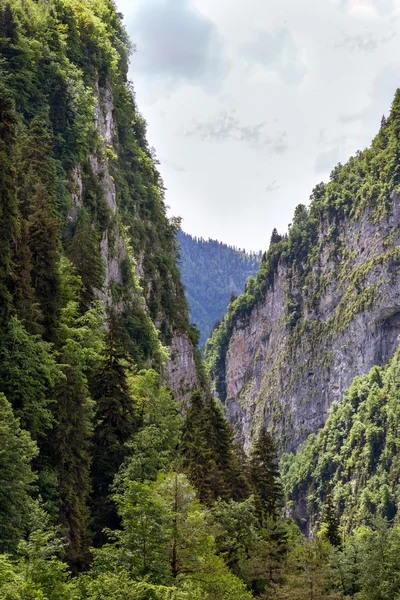 Landscape with a mountain view.