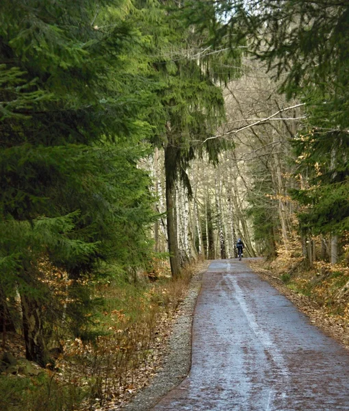 The cycle path on the former railway