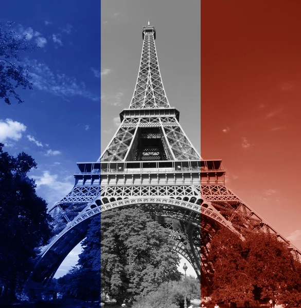 Paris Eiffel Tower french flag