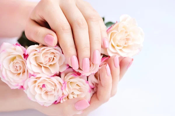 Hands of a woman with pink roses against white background