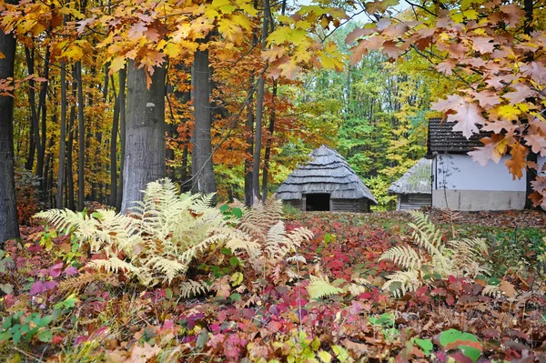 Old hut with a straw roof in autumn forest. Ukrainian Museum of Life and Architecture