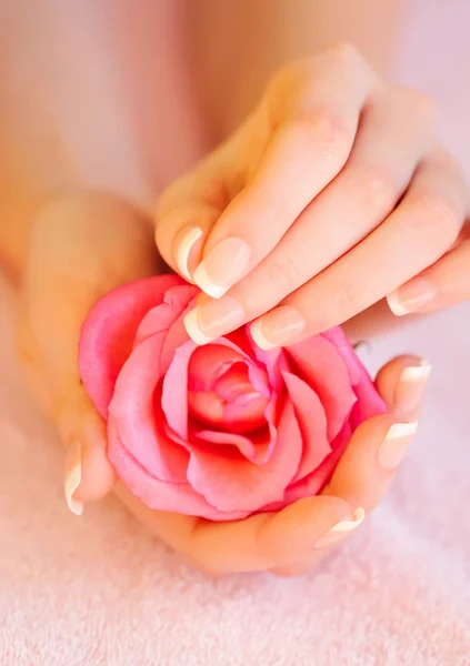 Closeup image of pink french manicure with rose