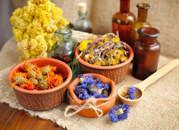 Healing herbs and tinctures in bottles on sackcloth, dried flow