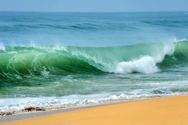 Wave of the ocean