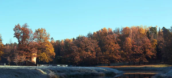 Autumn sunset was created in the woods of Pavlovsk Park located in Saint-Petersburg Russia shortly before sunset.