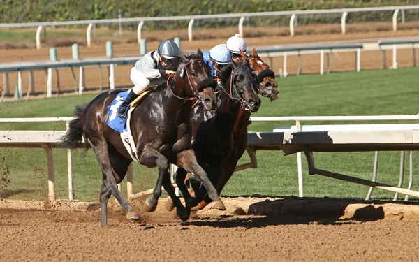 Winning His First Race