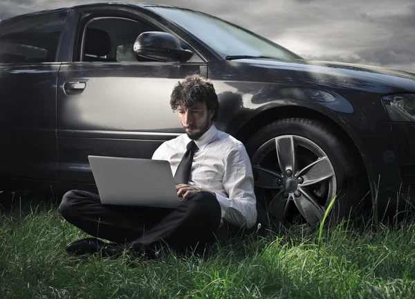 Businessman at work in a meadow