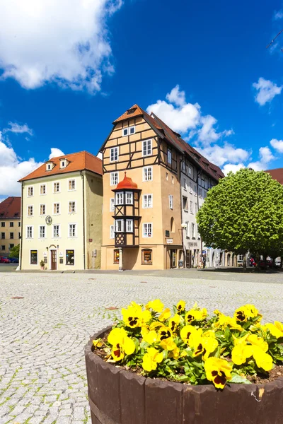 Complex of medieval houses called Spalicek, Cheb