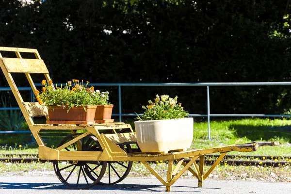 Cart with flowers, Provence, France