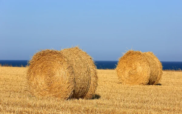 Two hay rolls on meadow