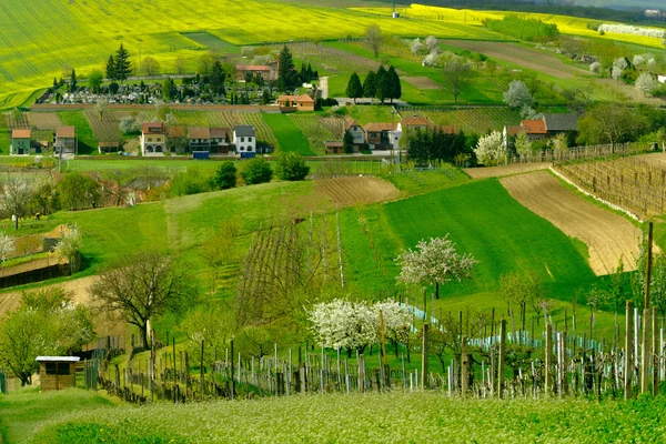 Rural landscape in countryside in South Moravia