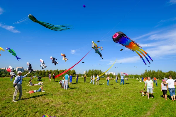 Kite festival in Moscow