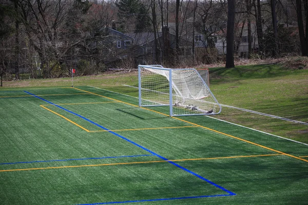 Soccer Field with Goal