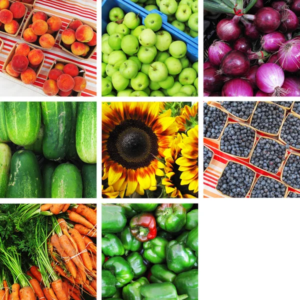 Fruits vegetable collage with room for your text.