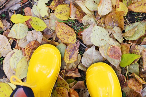 Rubber boots on the autumn leaves