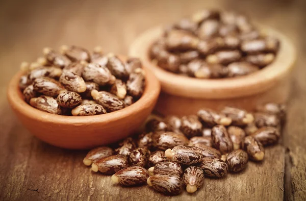 Close up of Castor beans