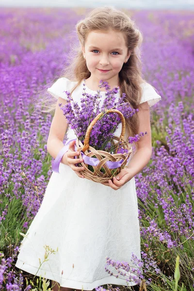 Pretty child girl in lavender field with basket of flowers