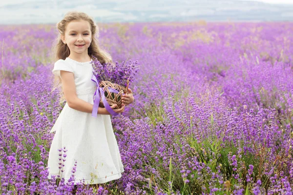 Pretty little girl in lavender field with basket of flowers