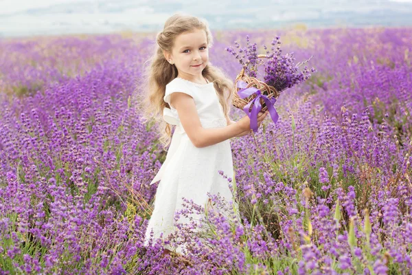 Pretty little girl in lavender field with basket of flowers