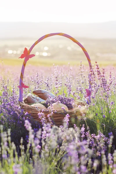 Basket with sweet-stuff in purple lavender flowers