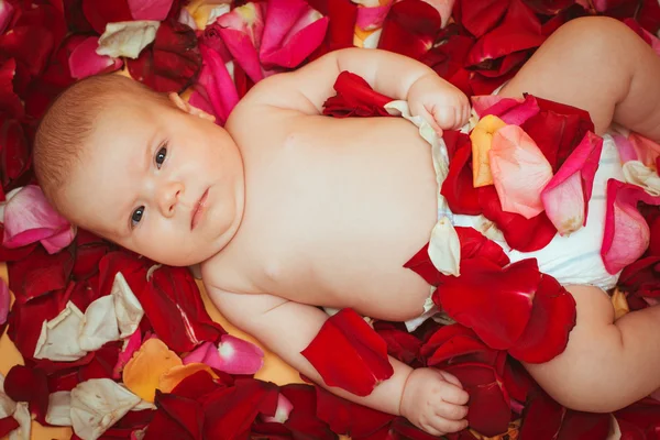 Infant girl lying on petal of red roses