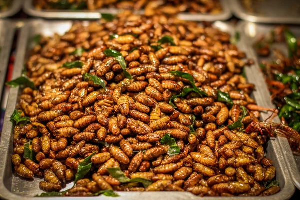 Thai food at market. Fried insects in Koh Samui