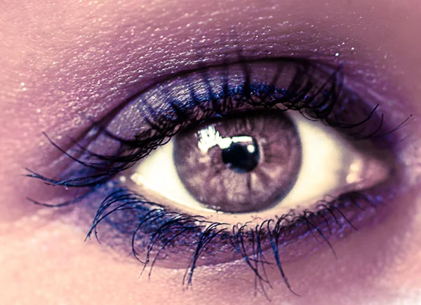 Purple  Eye Makeup. Beautiful Eyes Make-up. Macro
