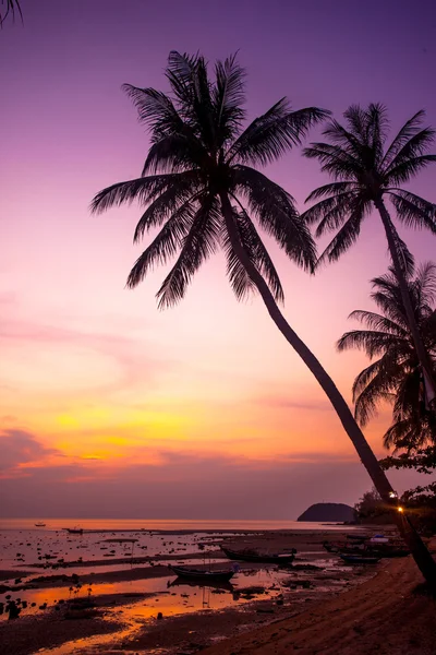 Palm tree silhouette on sunset tropical beach. Thailand