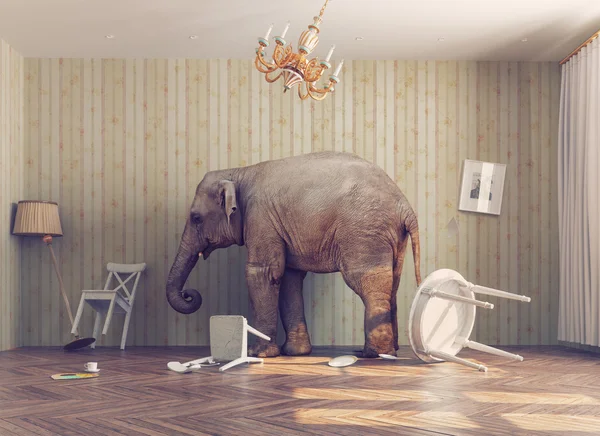 A elephant in a room