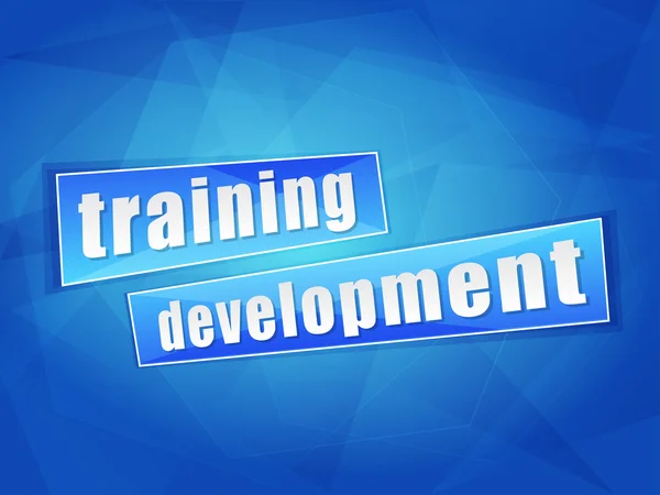 Training development, flat design, vector