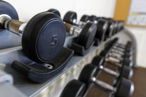 Sports dumbbells in modern sports club