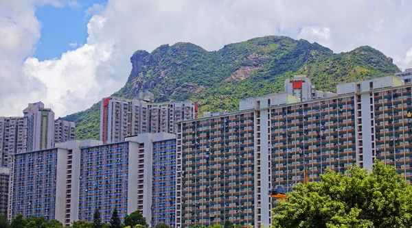 Hong Kong public estate with landmark lion rock