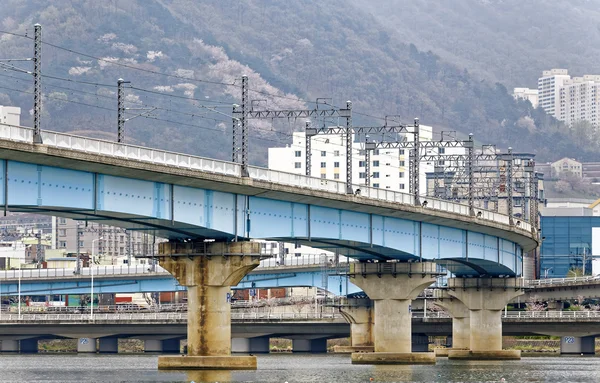 Train bridge across river and city background at busan