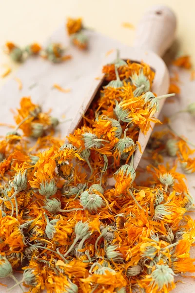 Marigold dried flowers