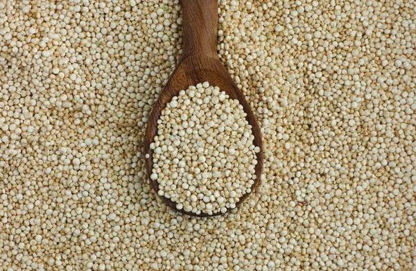 Quinoa seeds in a wooden spoon