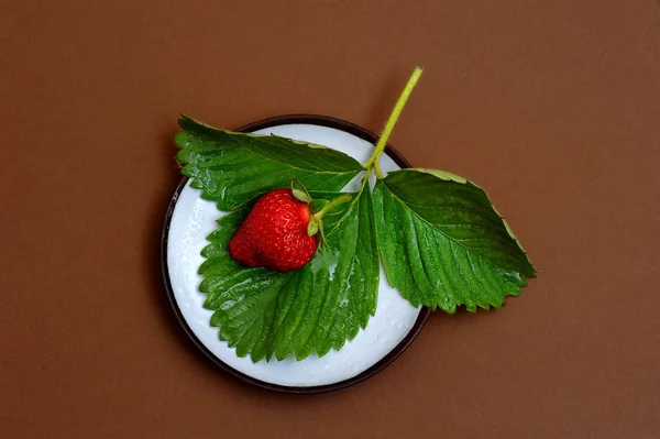 Strawberry on a Leaf