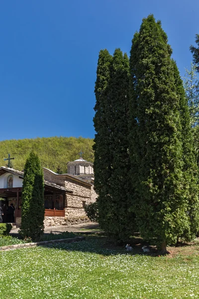 Cypresses and church in  Temski monastery St. George, Republic of Serbia