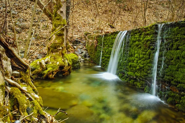 Beautiful Waterfall on Crazy Mary River, Belasitsa Mountain