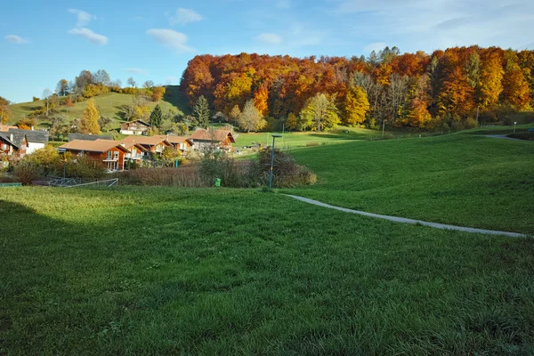 Autumn Landscape of Green meadows near town of Interlaken