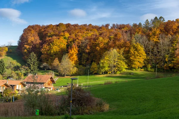 Autumn Landscape of Green meadows near town of Interlaken, canton of Bern