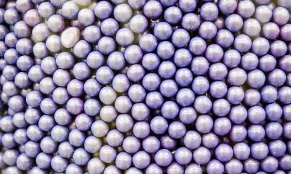 Purple Candy Drops
