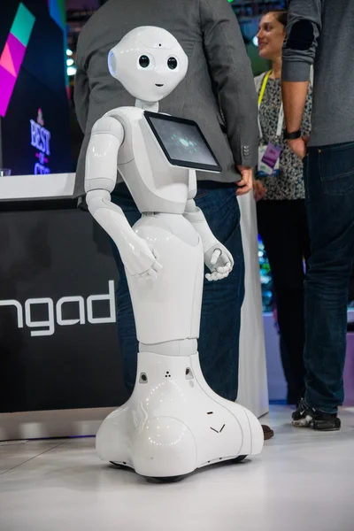 2016 CES Robot